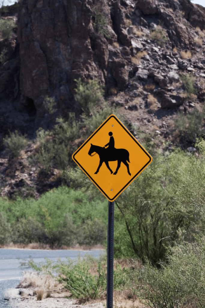 When Is It Too Hot to Ride - Safe Riding in the Heat - starlitridge.com