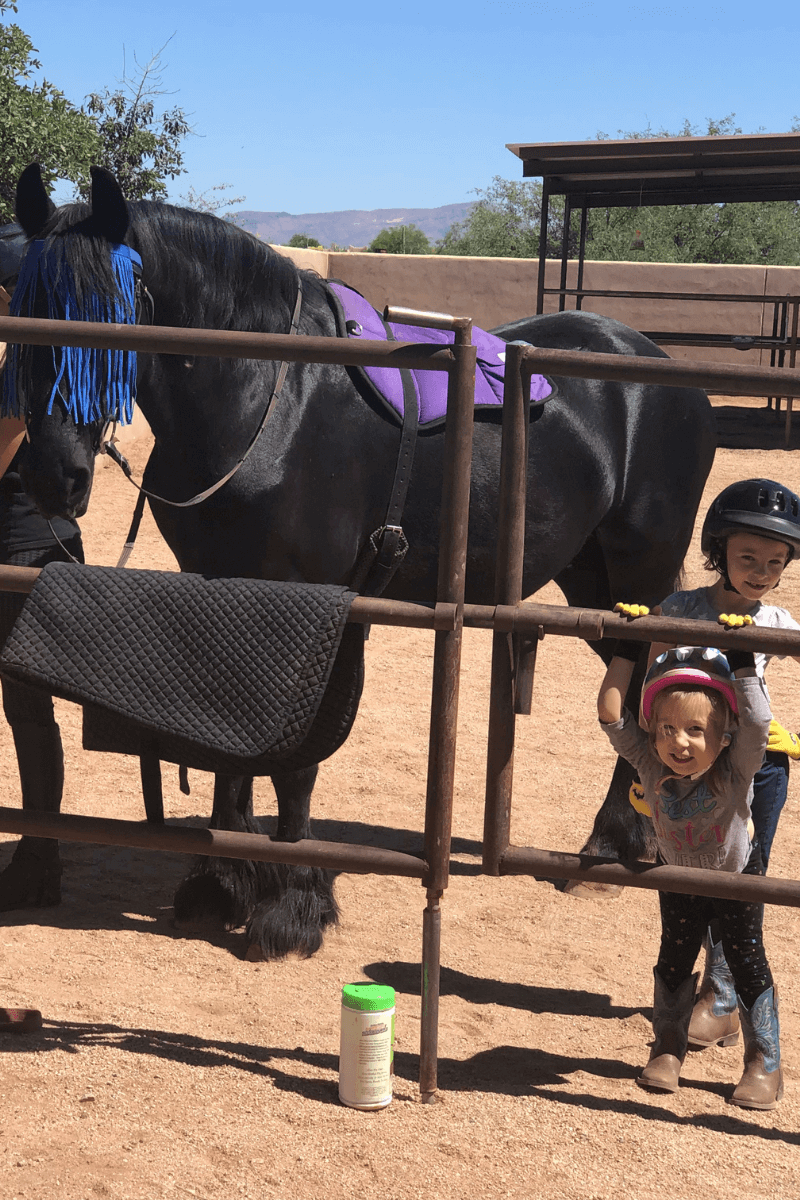 Introducing Your Kids to Horses