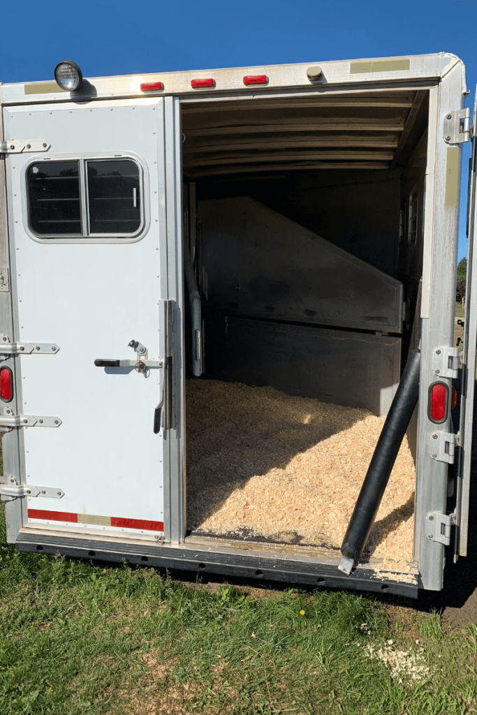 Positive Horse Trailer Loading Techniques